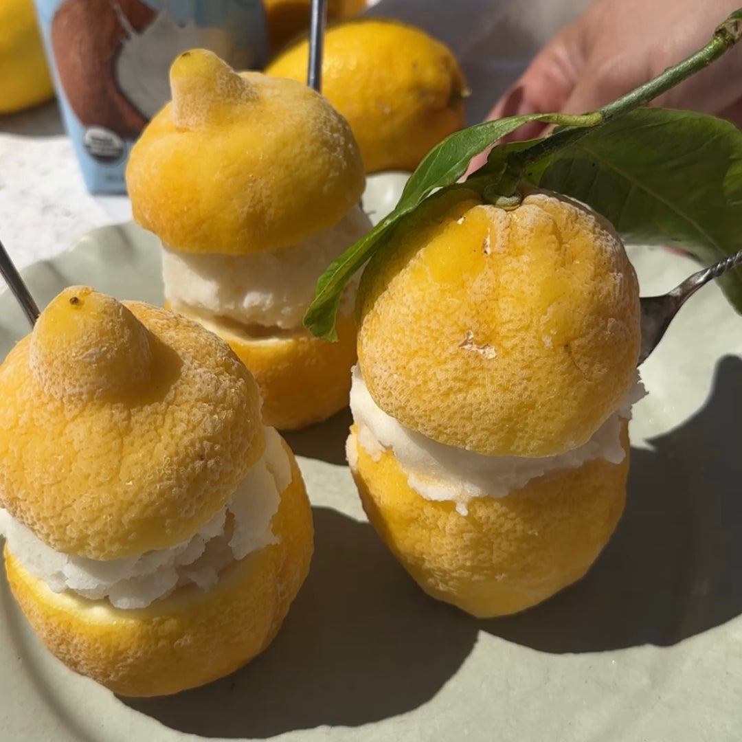 Lemon Coco Sorbet – Real Coco