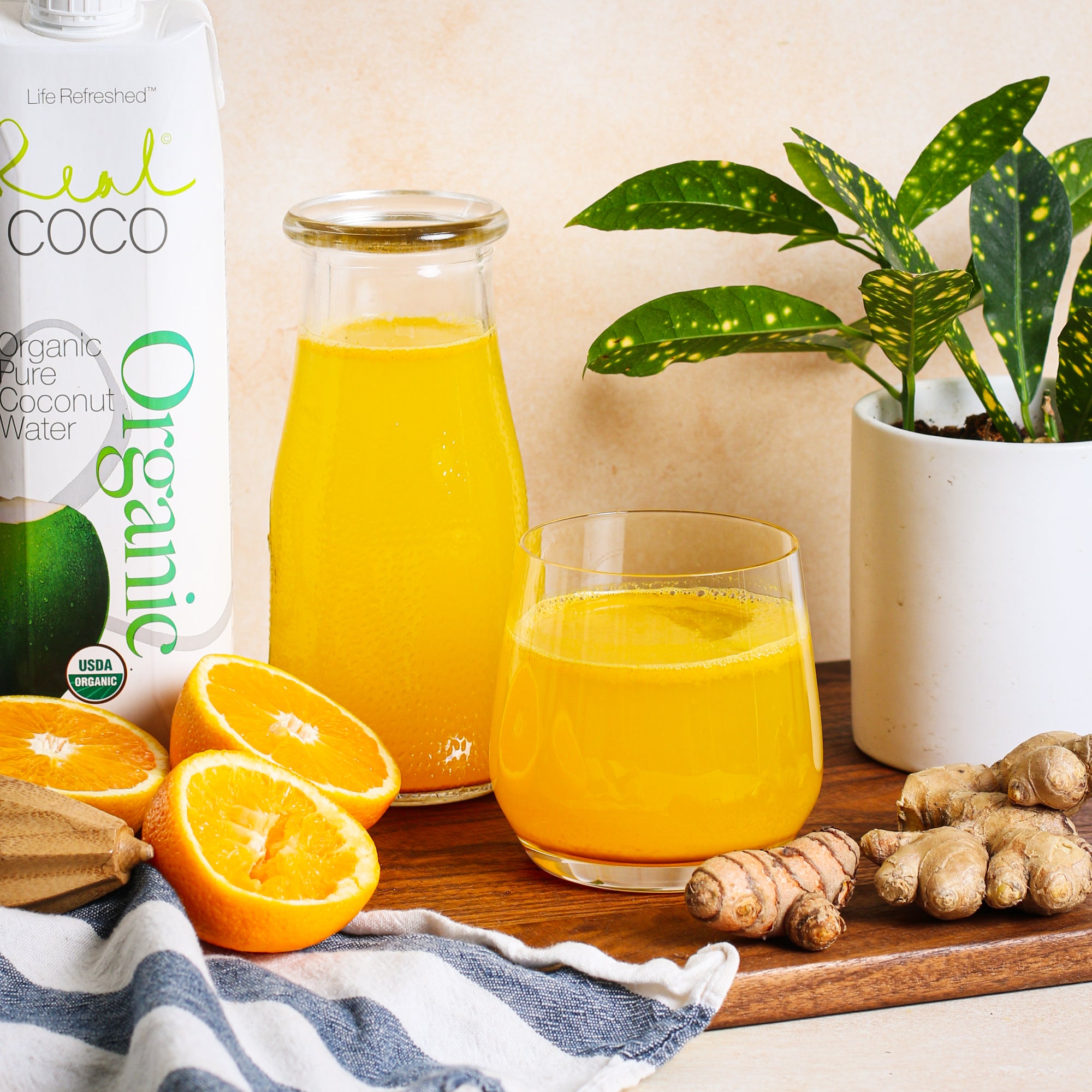 Coconut Ginger-Turmeric Kefir – Real Coco