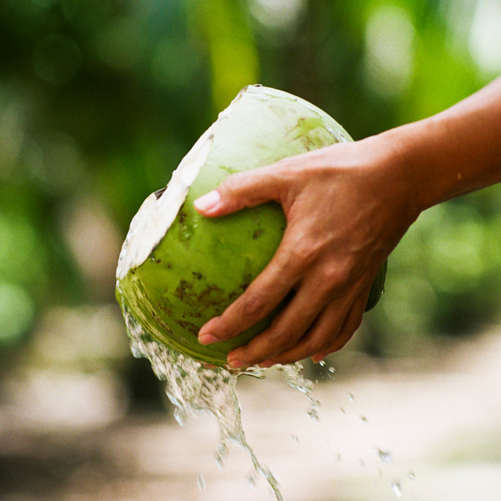 Up close shot of somebody's hands holding a fresh green coconut. 